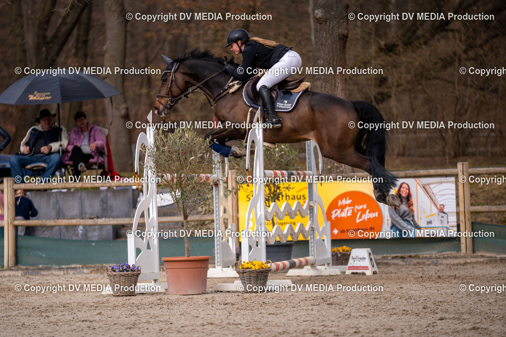 Kranichstein Tag 2-2118 | dv-media-shop - Realisiert mit Pictrs.com