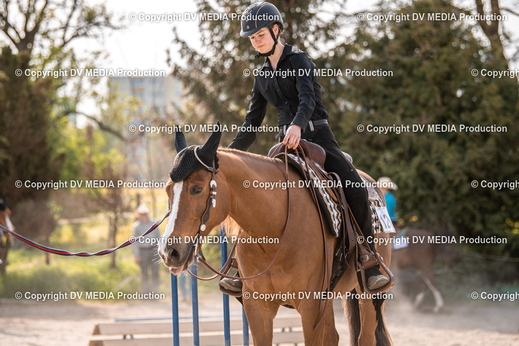 Balingen Tag 5-262 | dv-media-shop - Realisiert mit Pictrs.com