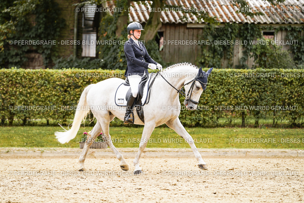 DSC02677 | Pferdegrafie