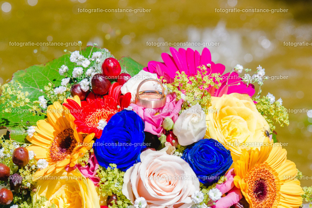 1012 | Fotografie Constance Gruber - Realisiert mit Pictrs.com