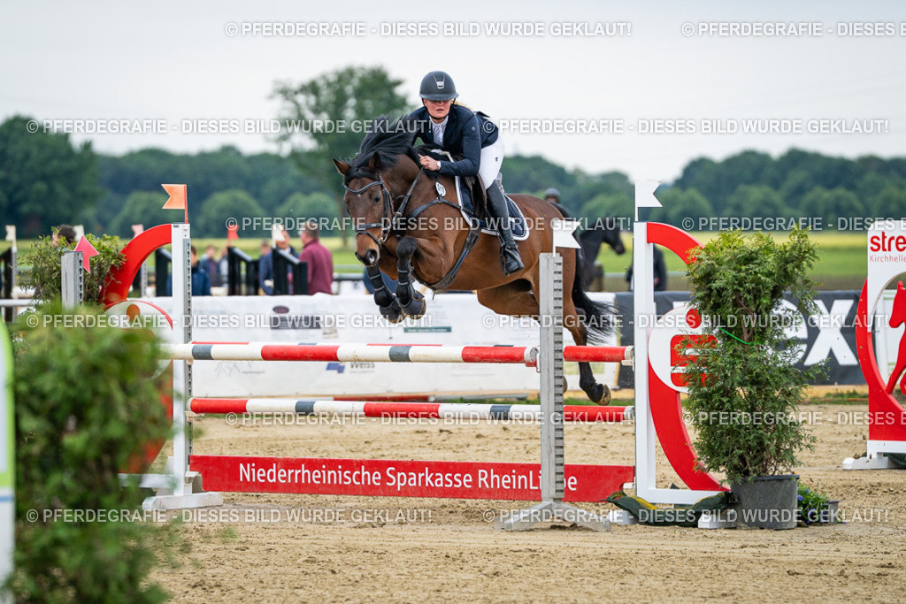 DSC05821 | Pferdegrafie