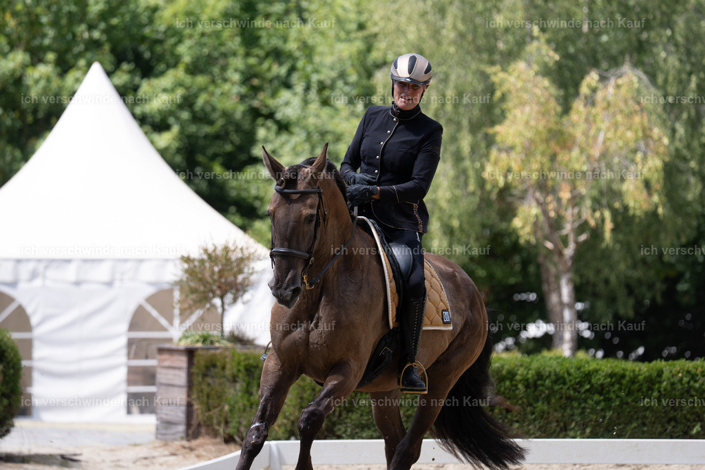 WS_DR_60_sinafilmart_IN02647 | working equitationturnier fotograf videograf stoibphotography marixx film working equitation deutschland reitsport turnierfotografie eventfotografie equestrian events