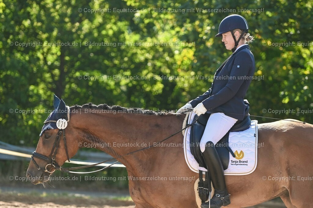 20230715_06_Dressurpferdeprfg. Kl.A_0226 | equistock