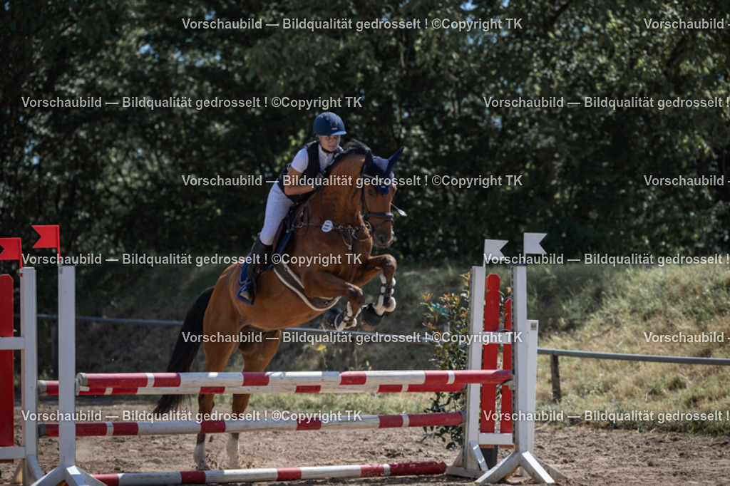 _D5A7437 | Emotionale Pferde- & People-Fotografie rund um Heidelberg, Leimen & Umgebung. Natürliche Fotos von Pferd, Mensch & Familie. Jetzt Termin sichern!