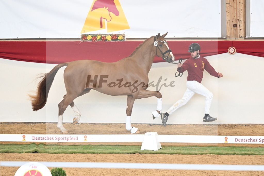 Kat.-Nr. 76 v. Sir Heinrich_Schulze Averdiek_3261103 | hf-fotografie - Realizzato con Pictrs.com