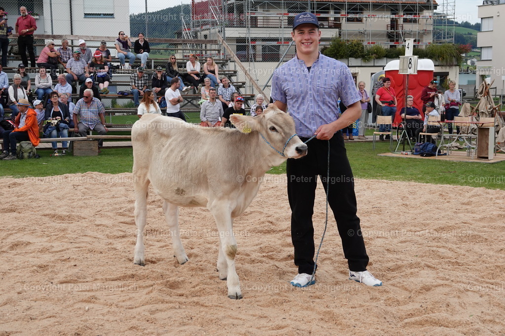 DSC08544 | Schwingen - Realisiert mit Pictrs.com