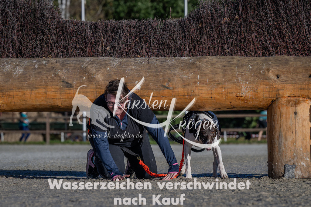 1025-_ZZ91078 | kk-dogfotos