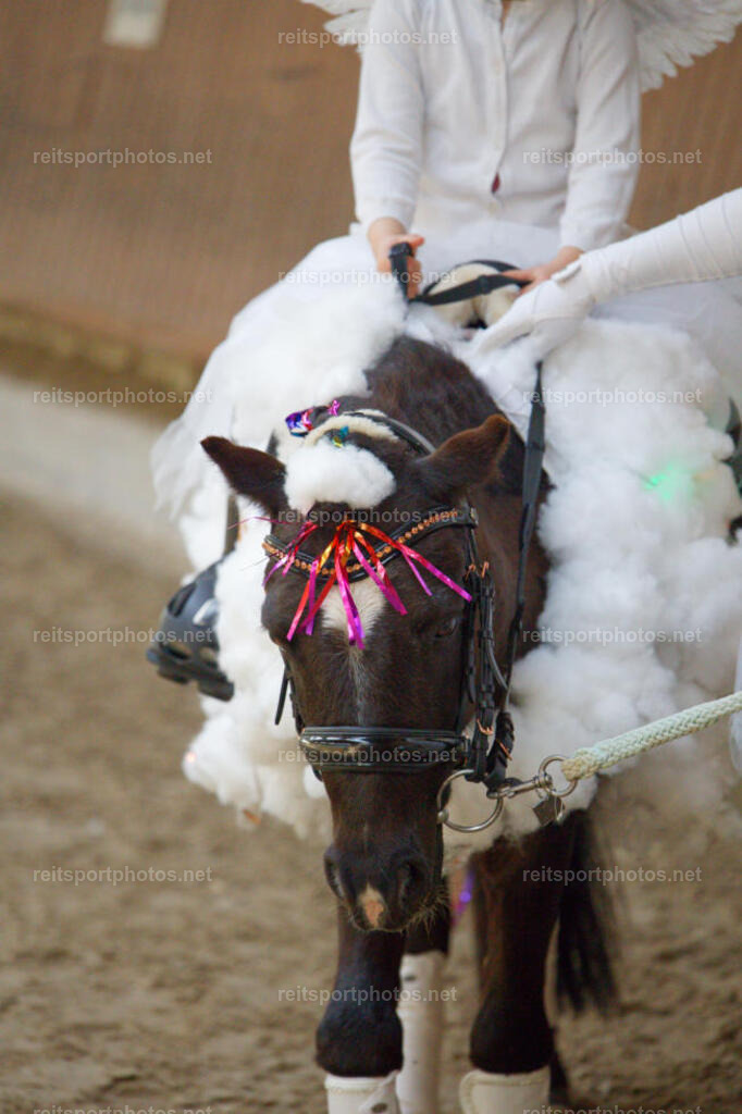 JHE_2809 | JoYa Fotografie - Realisiert mit Pictrs.com
