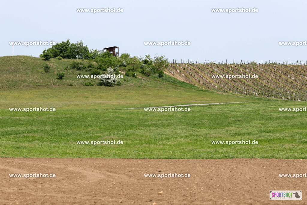 GY5A2771 | Neusiedler See Radmarathon 2025 #neusiedlerseeradmarathon #yourpictrs #sportshot_your_pictrs @Sportshotphotography Copyright:www.sportshot.de