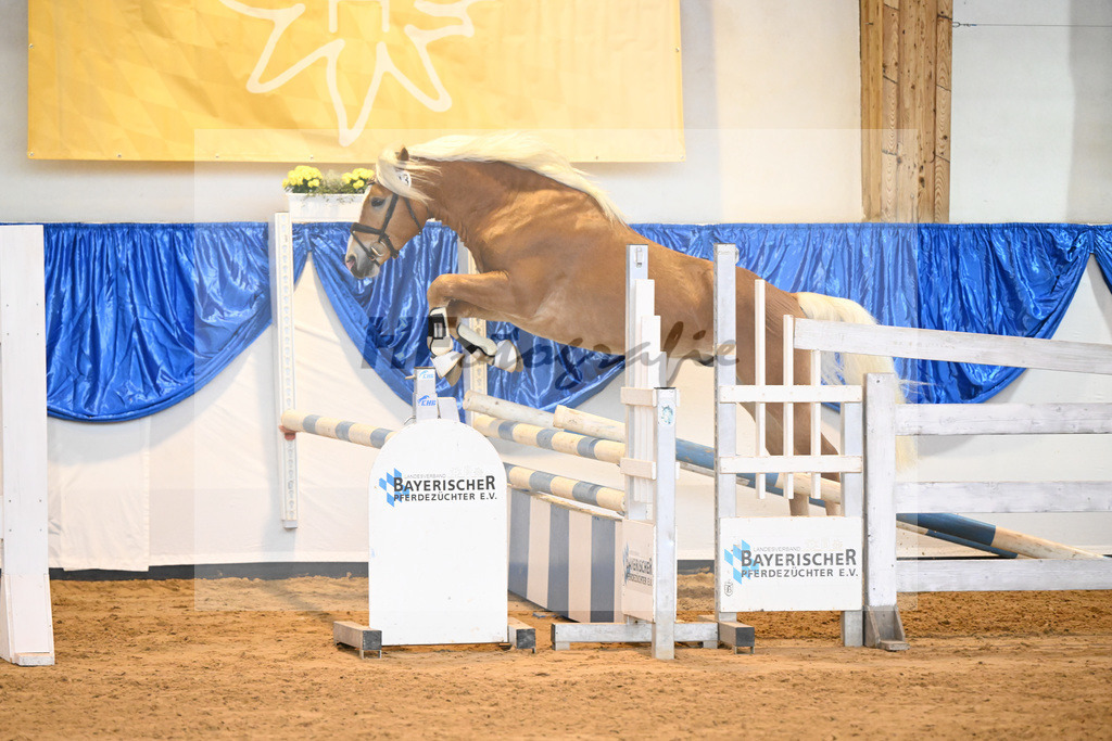 Kat-Nr. 13 nn v. Alfred_Hoegner_60220186 | hf-fotografie - Realisiert mit Pictrs.com