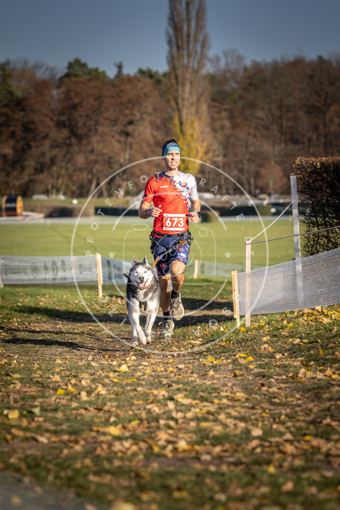 CaniXpix_DV3A0905 | Hundefotografie, Tierfotograf, Pfotenfotografie, Fotoshooting Hund, Hunde Portrait, Hundesport, Hundeportraits, Heideshooting, Hunde, Sportfotograf, Hundefotograf, Turnierhundsport, THS,  - Realisiert mit Pictrs.com