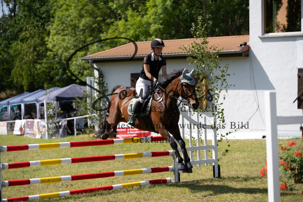 A7V06504 | Pferdefotograf