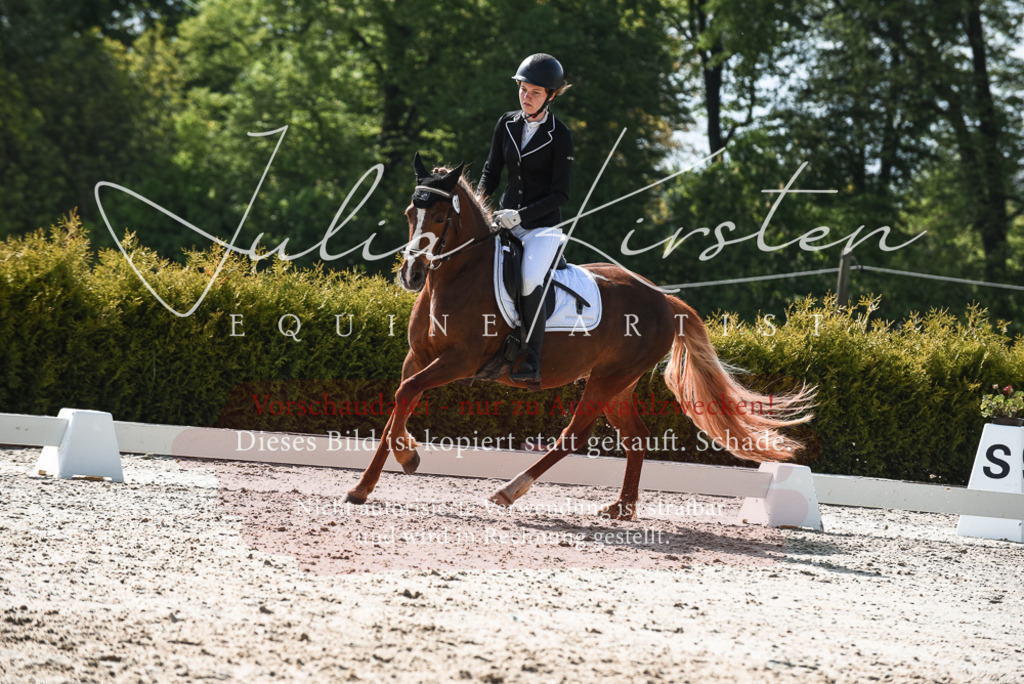 20230518_JK-Röhrsdorf-09-1539 | Pferde- und Turnierfotografie in Westsachsen. Pferdeportraits, Auftragszeichnungen und intuitive Kunst.