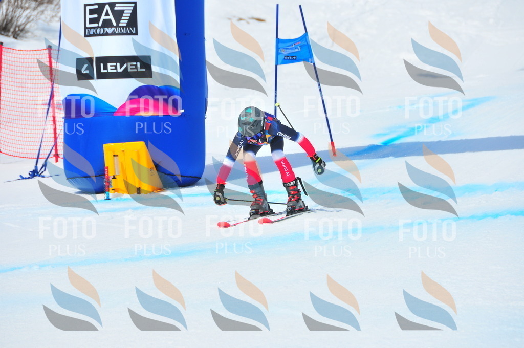 DSC_6990 | holidayphoto