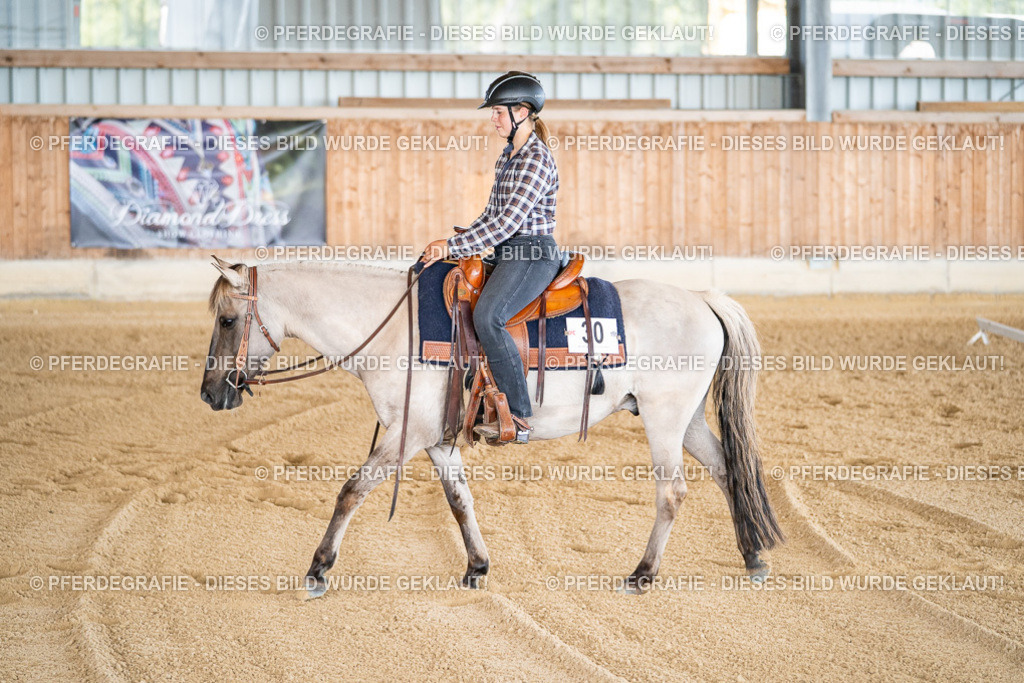 DSC01780 | Pferdegrafie