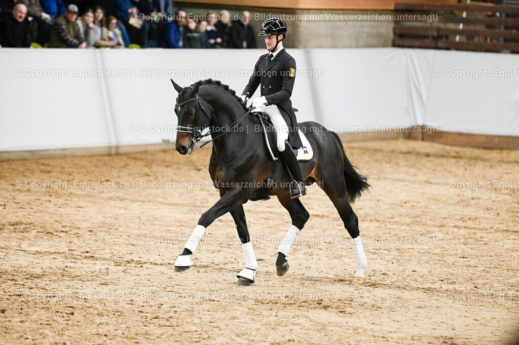 20260307_Hengstvorstellung-Marbach_0192 | equistock
