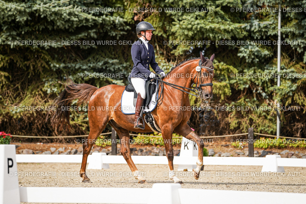 DSC06994 | Pferdegrafie