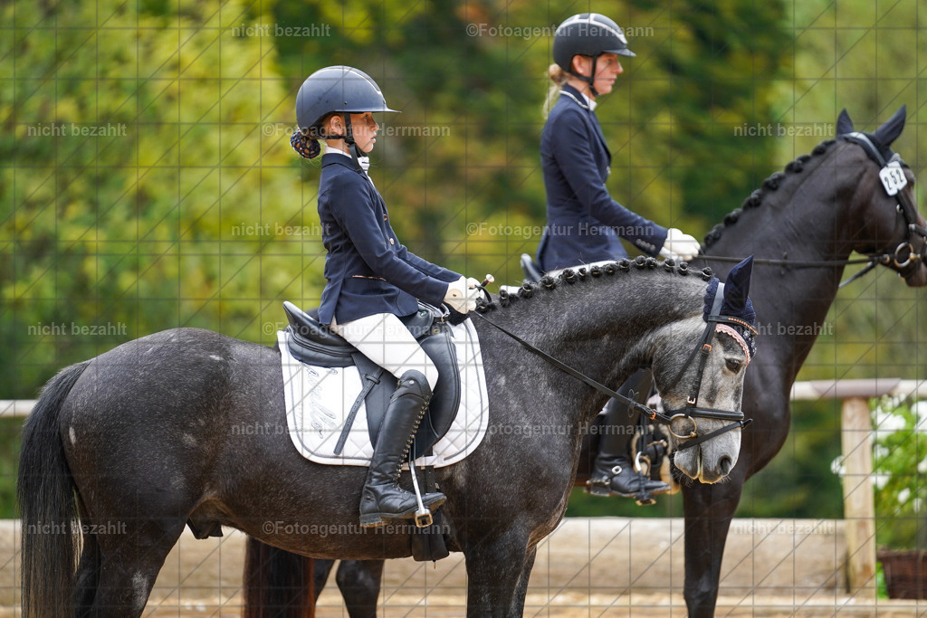 20221008-FAH01467 | Diessen am Ammersee, 2022, Dressur- und Springturnier, Reitsportbilder, Turnierfotografen Bayern, Pferdefotografen, Fotoagentur Herrmann, Turnierbilder