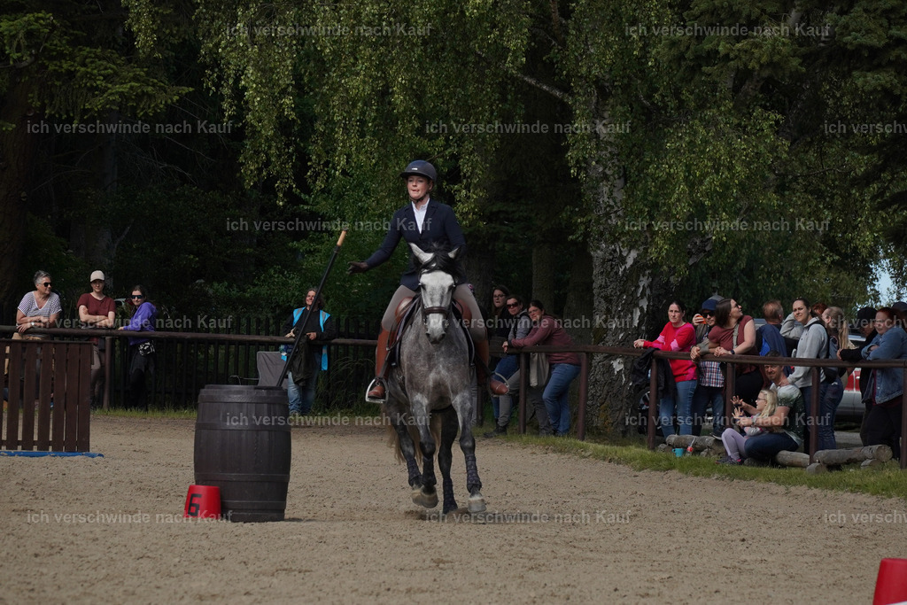 KlasseM_Lucie (13) | working equitationturnier fotograf videograf stoibphotography marixx film working equitation deutschland reitsport turnierfotografie eventfotografie equestrian events