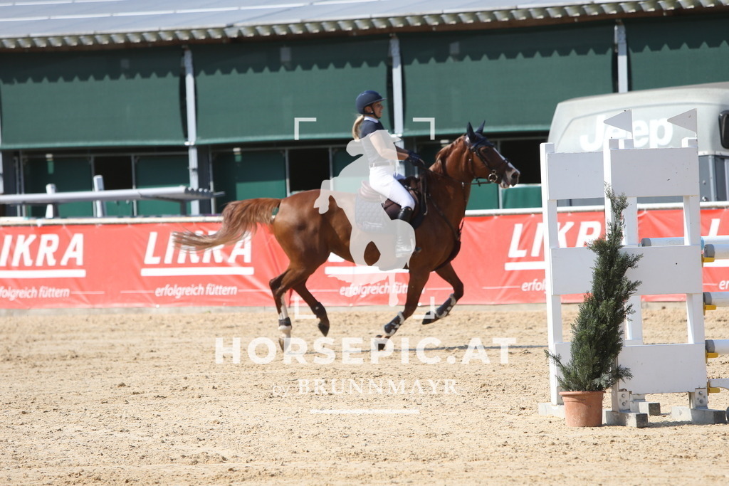 DL2Q1901 | Willkommen bei Brunnmayr - Design & Fotografie – Ihrem Spezialisten für Reitturniere und Pferdeveranstaltungen in Oberösterreich, Salzburg und Bayern! Seit über 17 Jahren sind wir leidenschaftlich dabei.