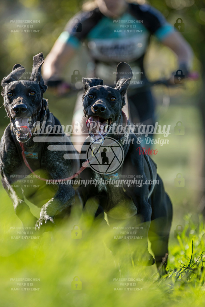 MompixPhotography_20TSB_E3_DS2-27 | PayLife