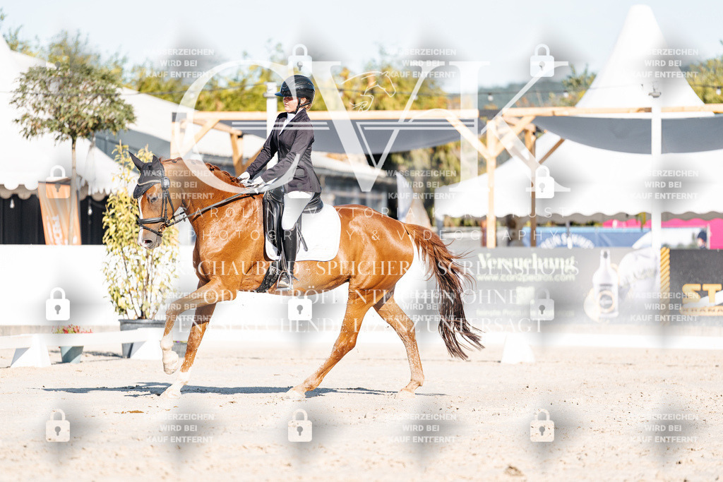 CK907187 | Turnierfotografie Pferdefotografie Trier Rheinland-Pfalz Pferdesport Reitsport Tierfotografie Sportfotografie Pferdevideo Pferdevideografie Equestrianvideography equestrianphotography  - Realisiert mit Pictrs.com