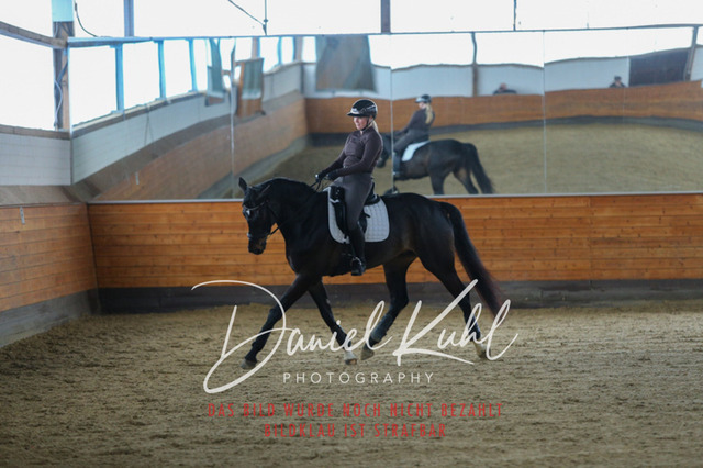 IMG_3709 | Turniersportfotografie; Pferdefotografie; Dressurfotografie
