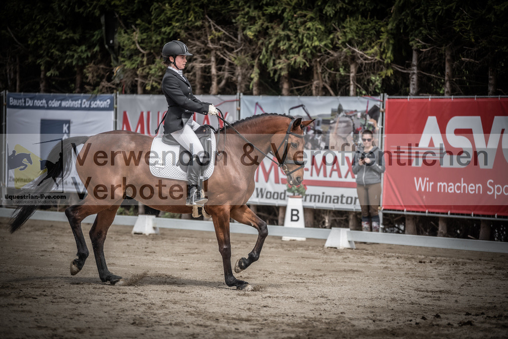 DSC_2410 | equestrian-live-com