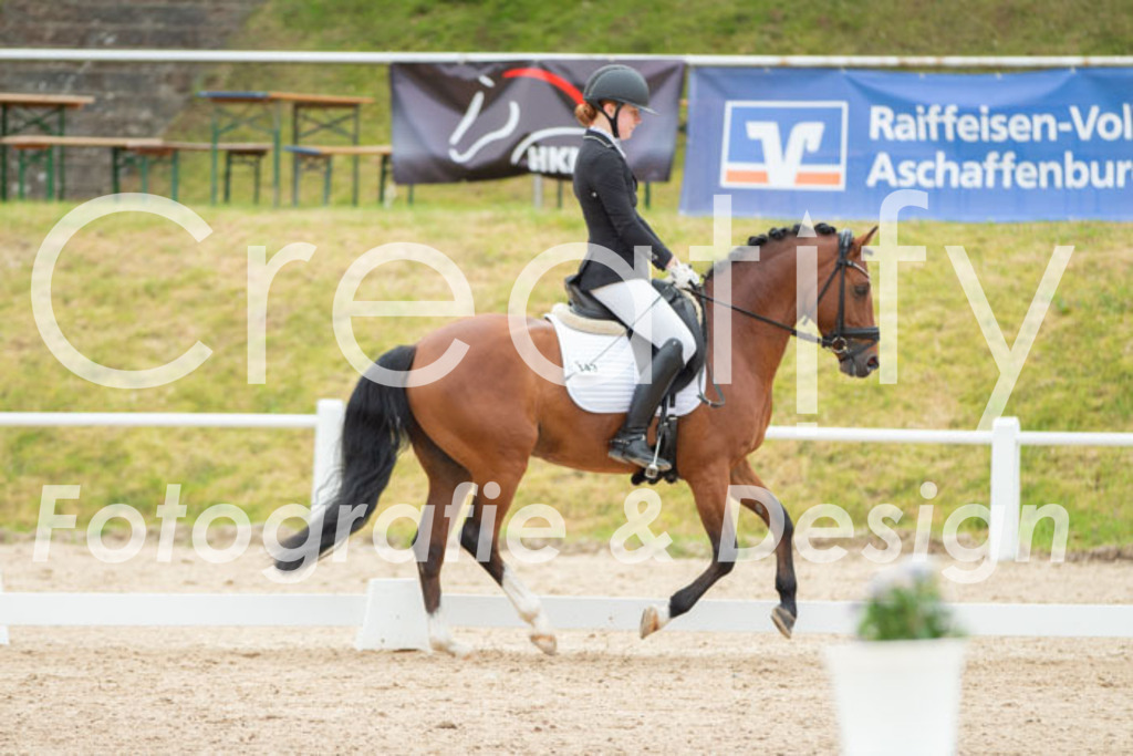 IMG_9943 | Creatify Fotografie