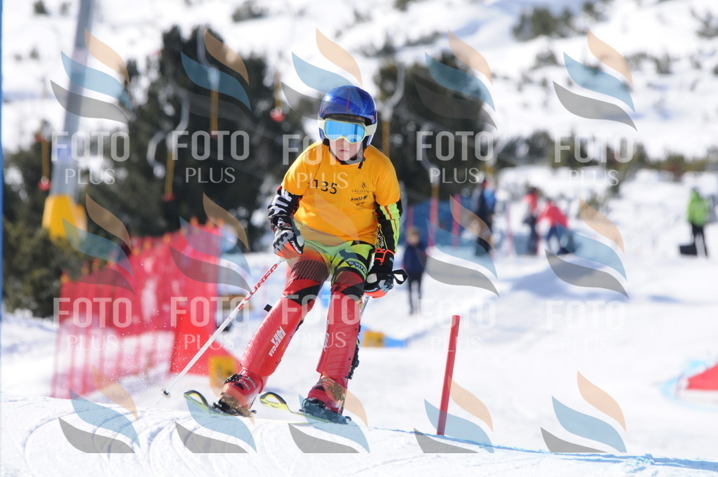 C7235 | holidayphoto