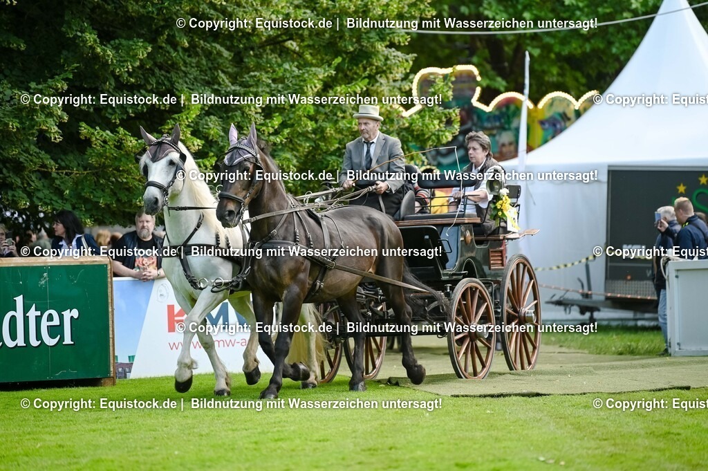 20250606_Lange-Pferdenacht_0054 | Foto: Thomas Hartig