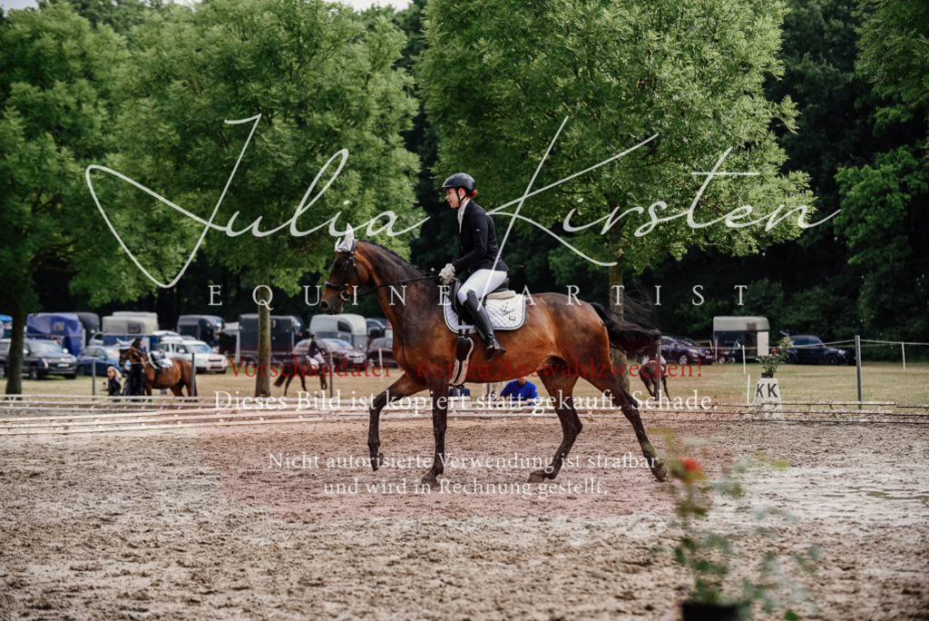 DSC_9858 | Pferde- und Turnierfotografie in Westsachsen. Pferdeportraits, Auftragszeichnungen und intuitive Kunst.