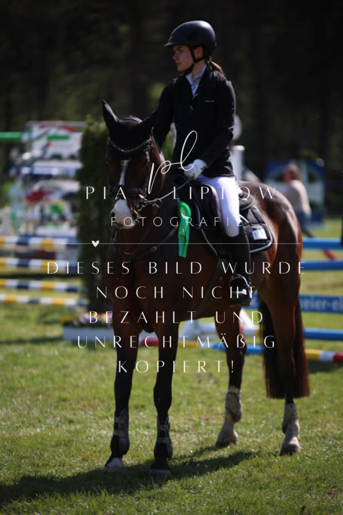 IMGT5754 | pl-fotografie