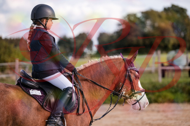 2026_10_03_Siefer-Hof_144334_Z81_17183795 | Professionelle Reitsport-, Turnier- und Eventfotografie von Robert Broda. Galerien mit ausgewählten und bearbeiteten Bildern direkt online ansehen und bestellen.