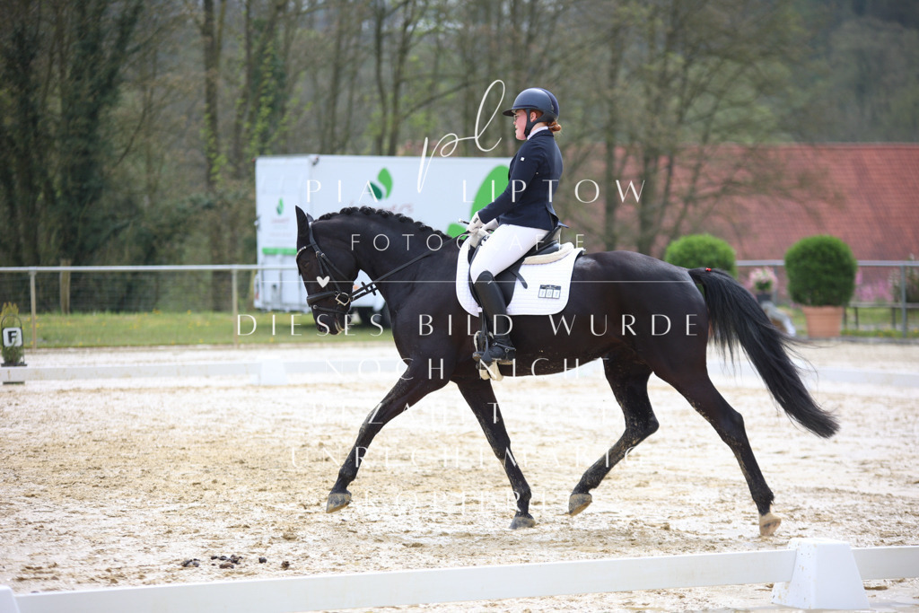 IMGT3066 | pl-fotografie