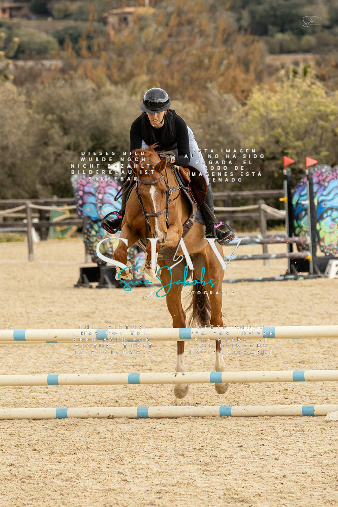 IMG_4608 | s-jay-photography - Realisiert mit Pictrs.com