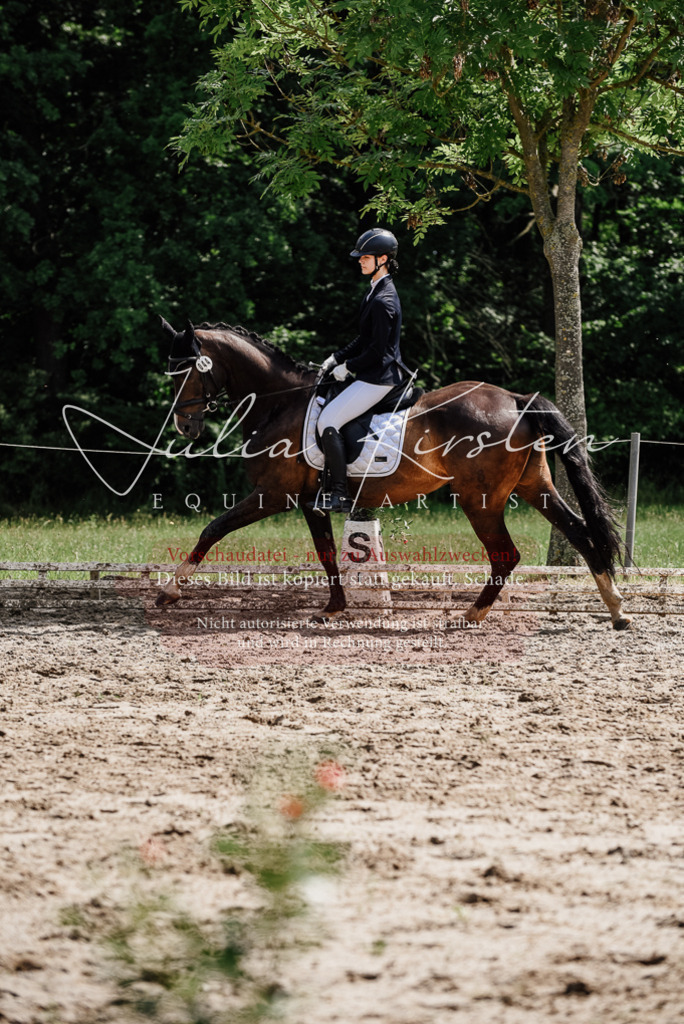 DSC_0850 | Pferde- und Turnierfotografie in Westsachsen. Pferdeportraits, Auftragszeichnungen und intuitive Kunst.