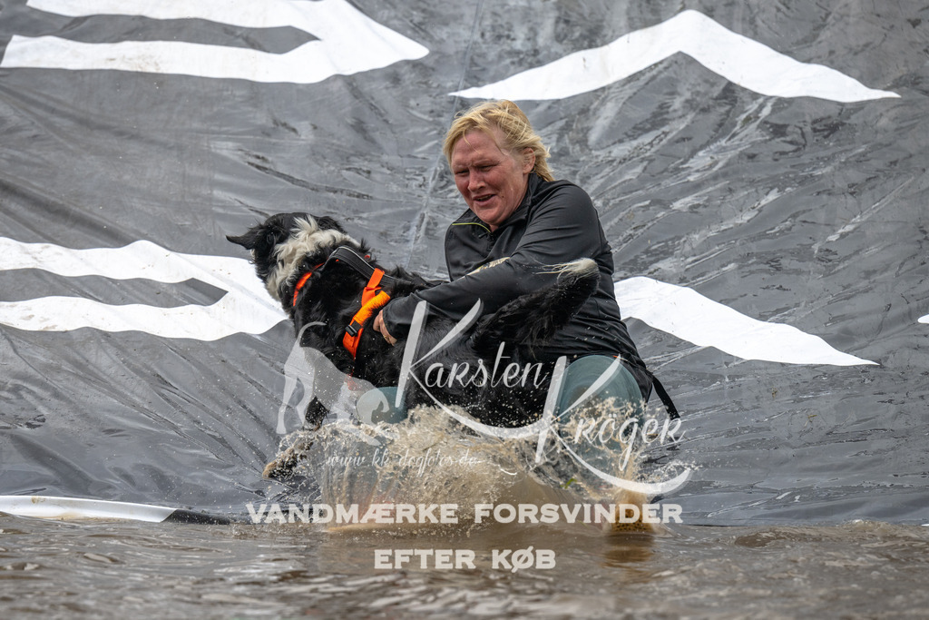 1558_ZZ91705 | kk-dogfotos