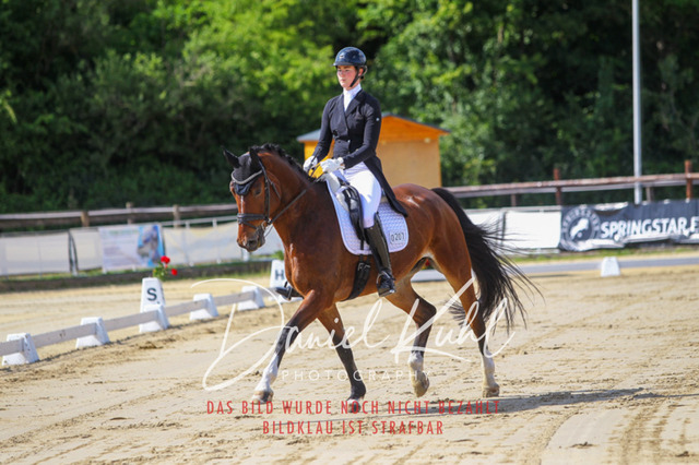 DKP46437 | Turniersportfotografie; Pferdefotografie; Dressurfotografie