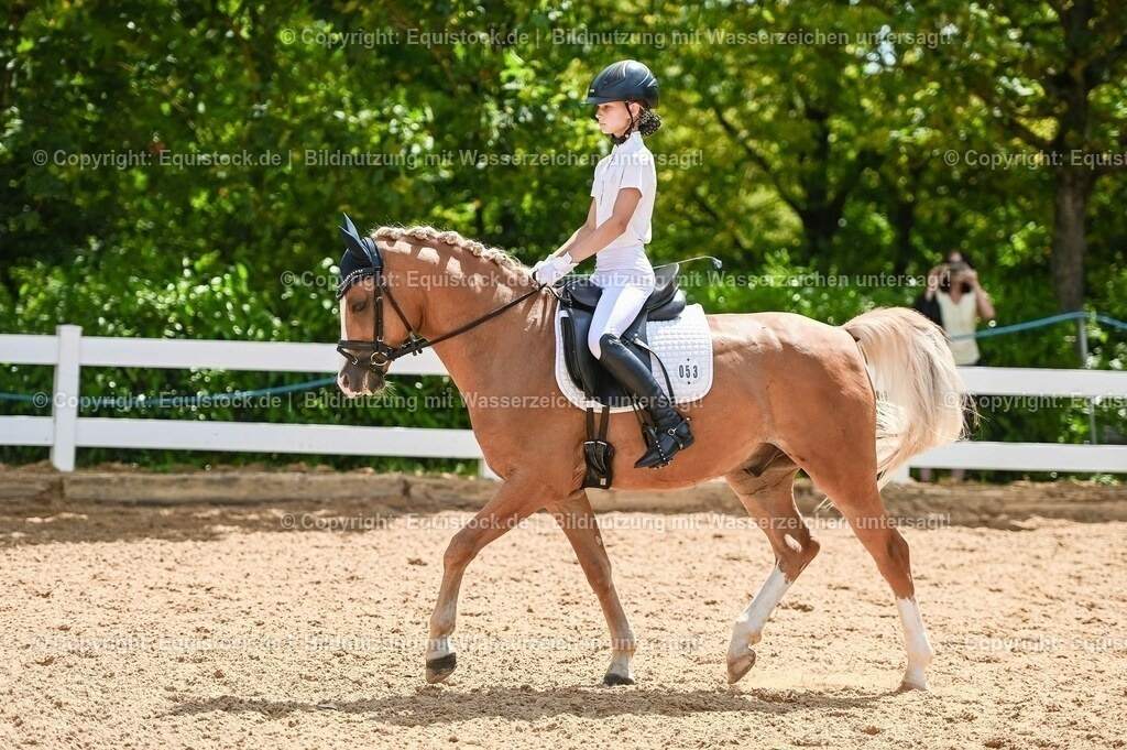 20230715_09_Dressur-WB_0242 | equistock