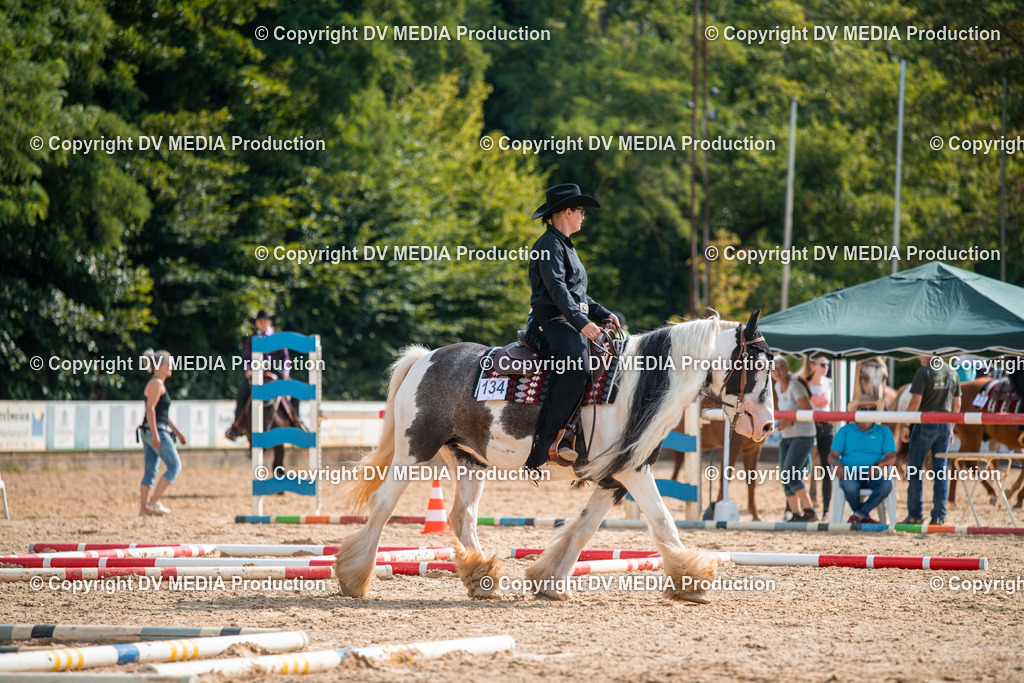 ZS2_7599 | dv-media-shop - Realisiert mit Pictrs.com