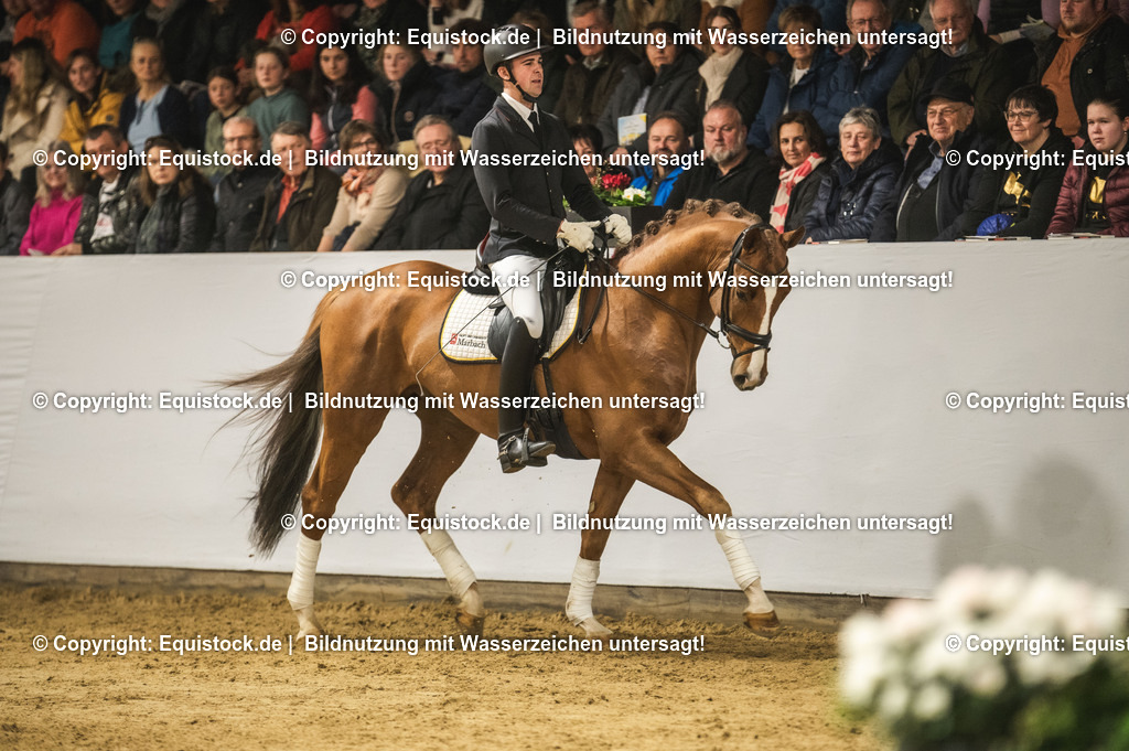 20240302_Hengstvorstellung_Marbach_TOMsPiC_0363 | equistock