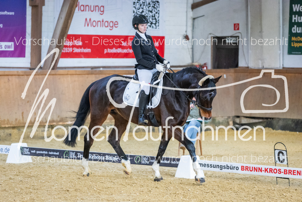 Sth-WBO25-DrR-121 | MomenTaufnahmen Pferdesportfotos