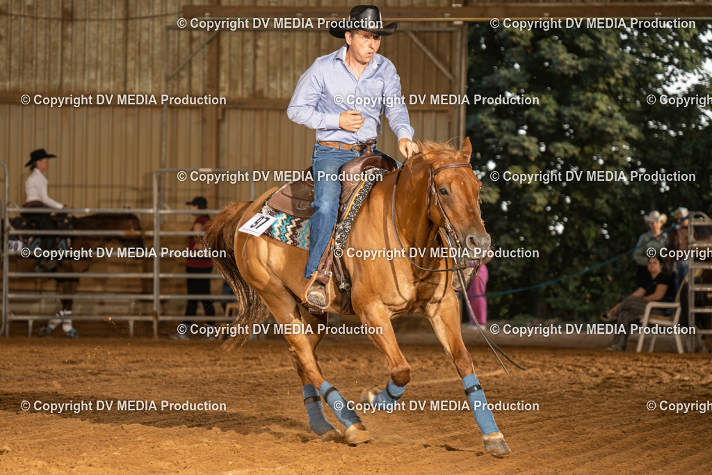 NID03937 | dv-media-shop - Realisiert mit Pictrs.com