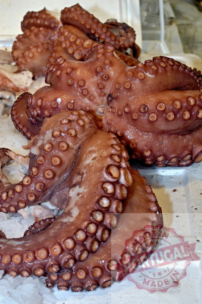 Cooked octopus displaying tentacles and suckers on ice | Cooked octopus body and tentacles resting on a bed of ice at a fish market - Realisiert mit Pictrs.com