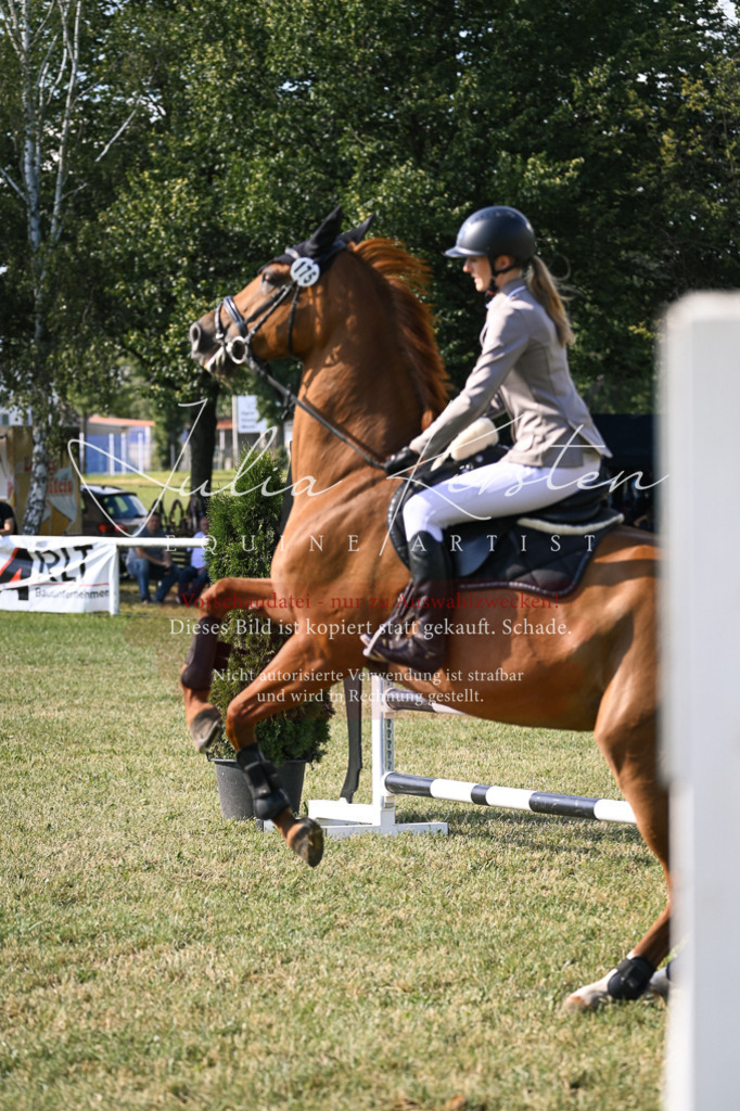 DSC_1282 | Pferde- und Turnierfotografie in Westsachsen. Pferdeportraits, Auftragszeichnungen und intuitive Kunst.