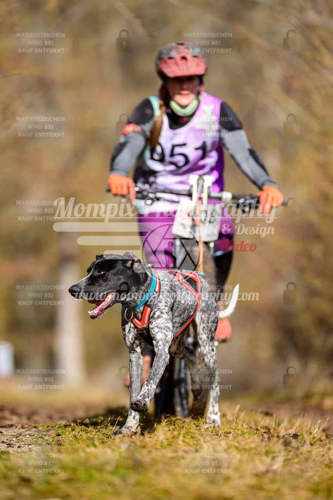 MompixPhotography_Schwabentrail2025_SO_Bike-91 | PayLife