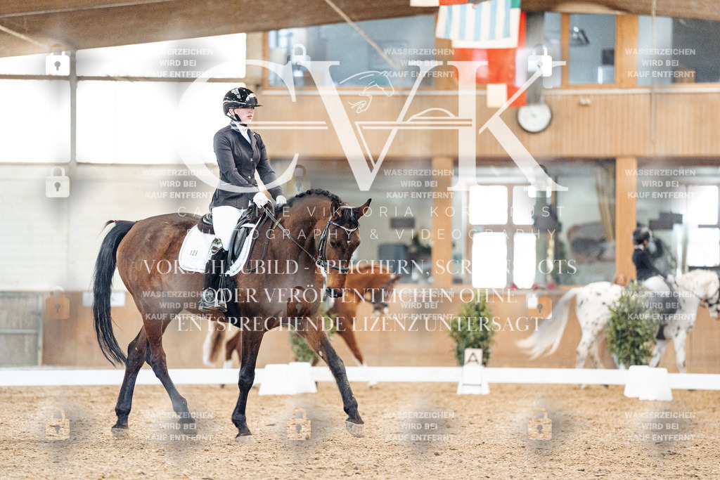 CK908783 | Turnierfotografie Pferdefotografie Trier Rheinland-Pfalz Pferdesport Reitsport Tierfotografie Sportfotografie Pferdevideo Pferdevideografie Equestrianvideography equestrianphotography  - Realisiert mit Pictrs.com