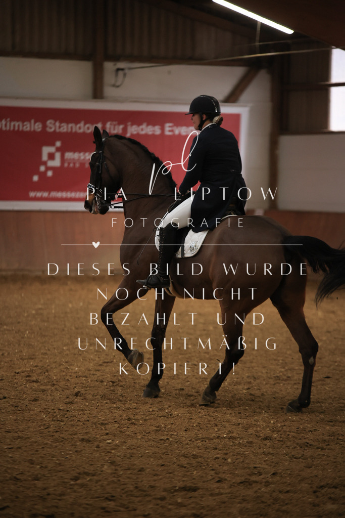 IMGT5641 | pl-fotografie