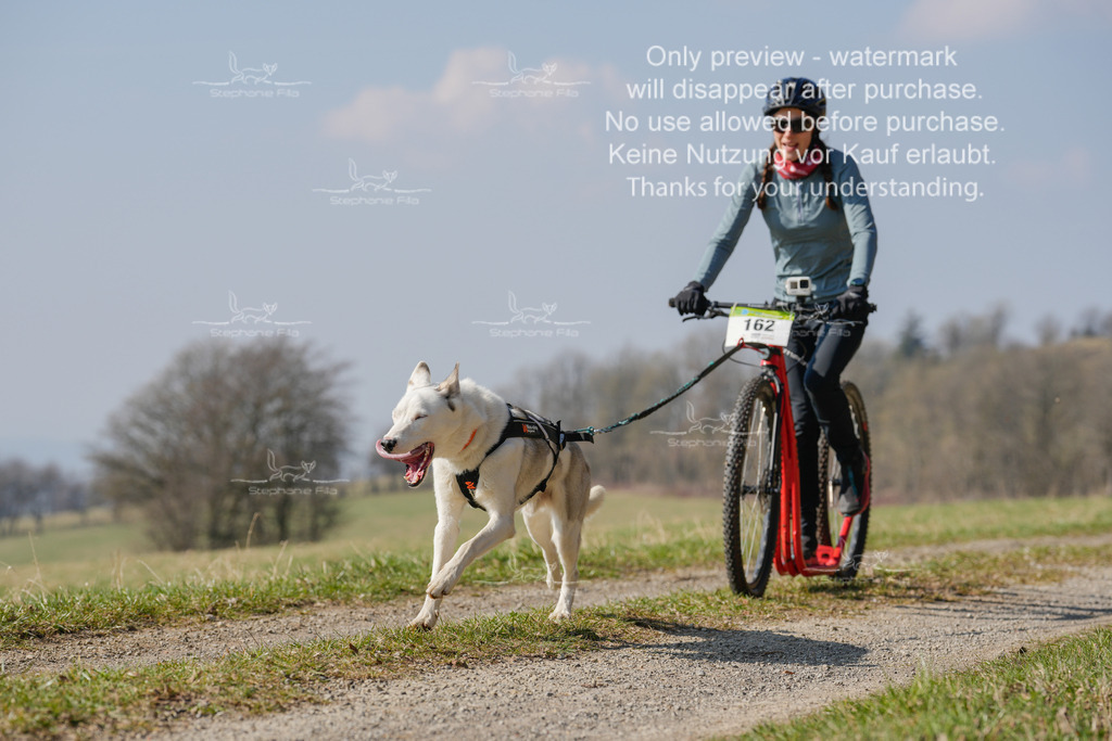 Scooter_Lang-156 | stephaniefillaphotographie - Realisiert mit Pictrs.com